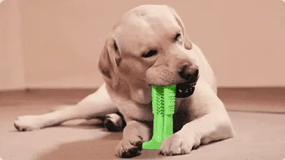 FurBrush - Premium Dog Tooth-Brush