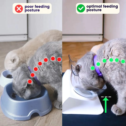 Petdor™ Non Slip Double Cat Bowl With Raised Stand